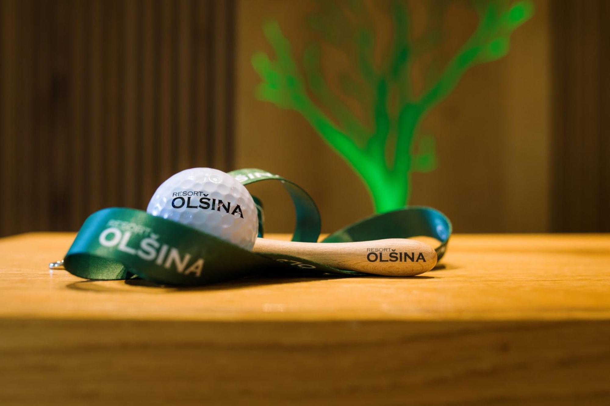 Resort Olsina Horní Planá Kültér fotó