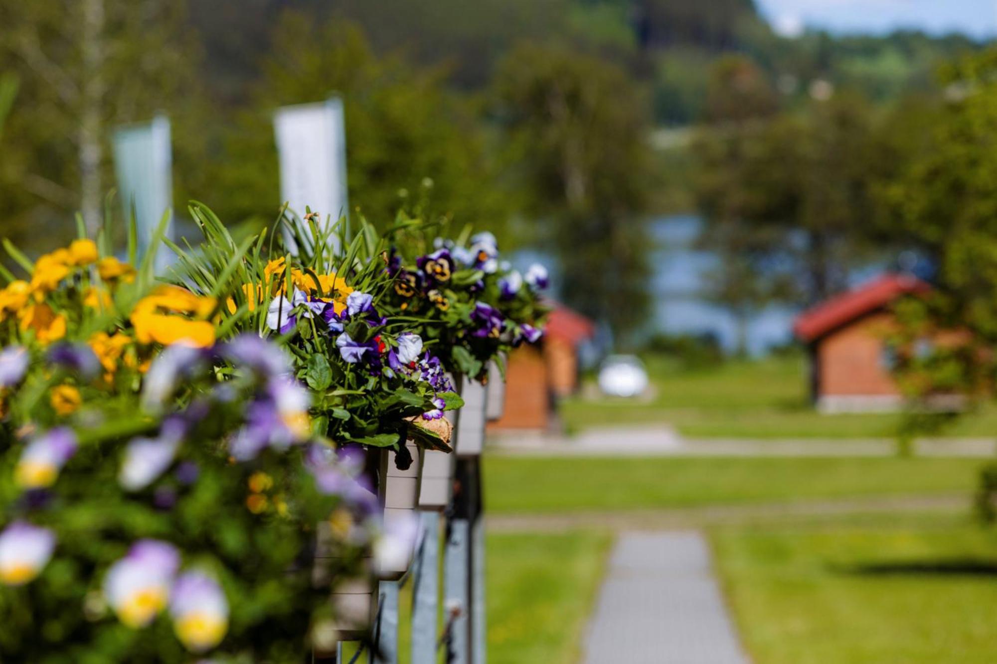 Resort Olsina Horní Planá Kültér fotó
