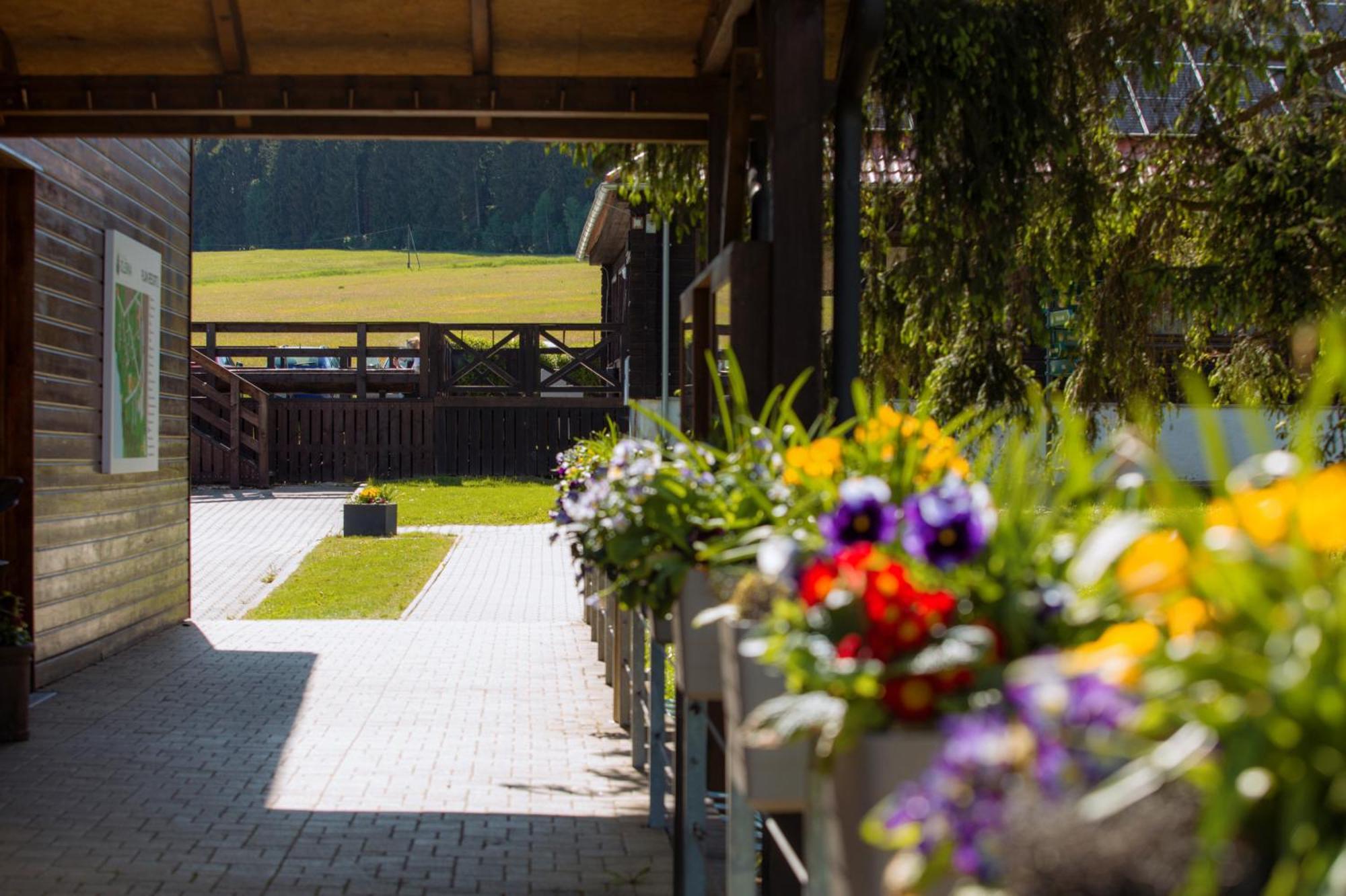 Resort Olsina Horní Planá Kültér fotó