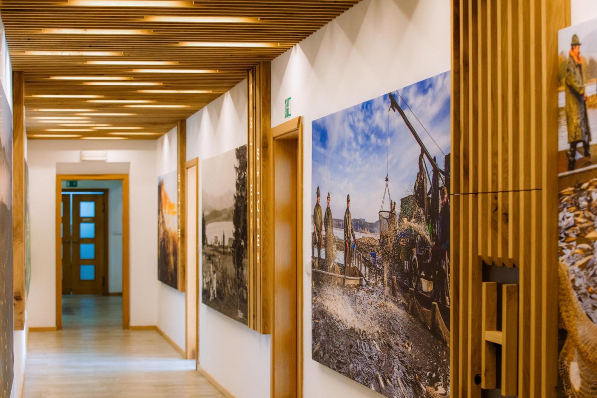 Resort Olsina Horní Planá Kültér fotó